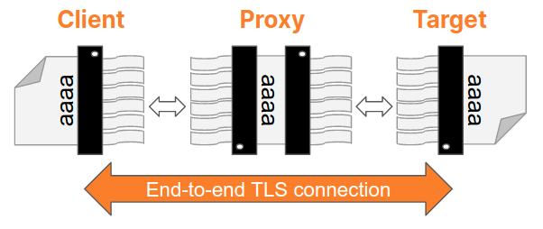 Magic shredders with end-to-end TLS connection.