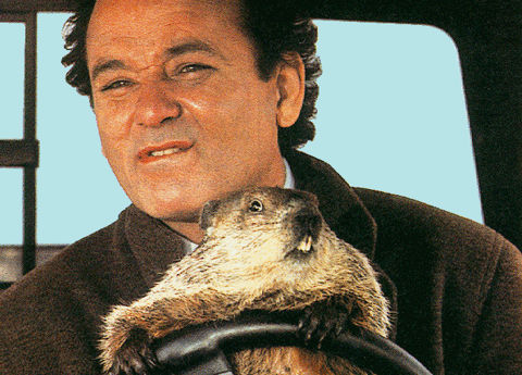 CloudFlare Keeps Groundhog Day
Online!