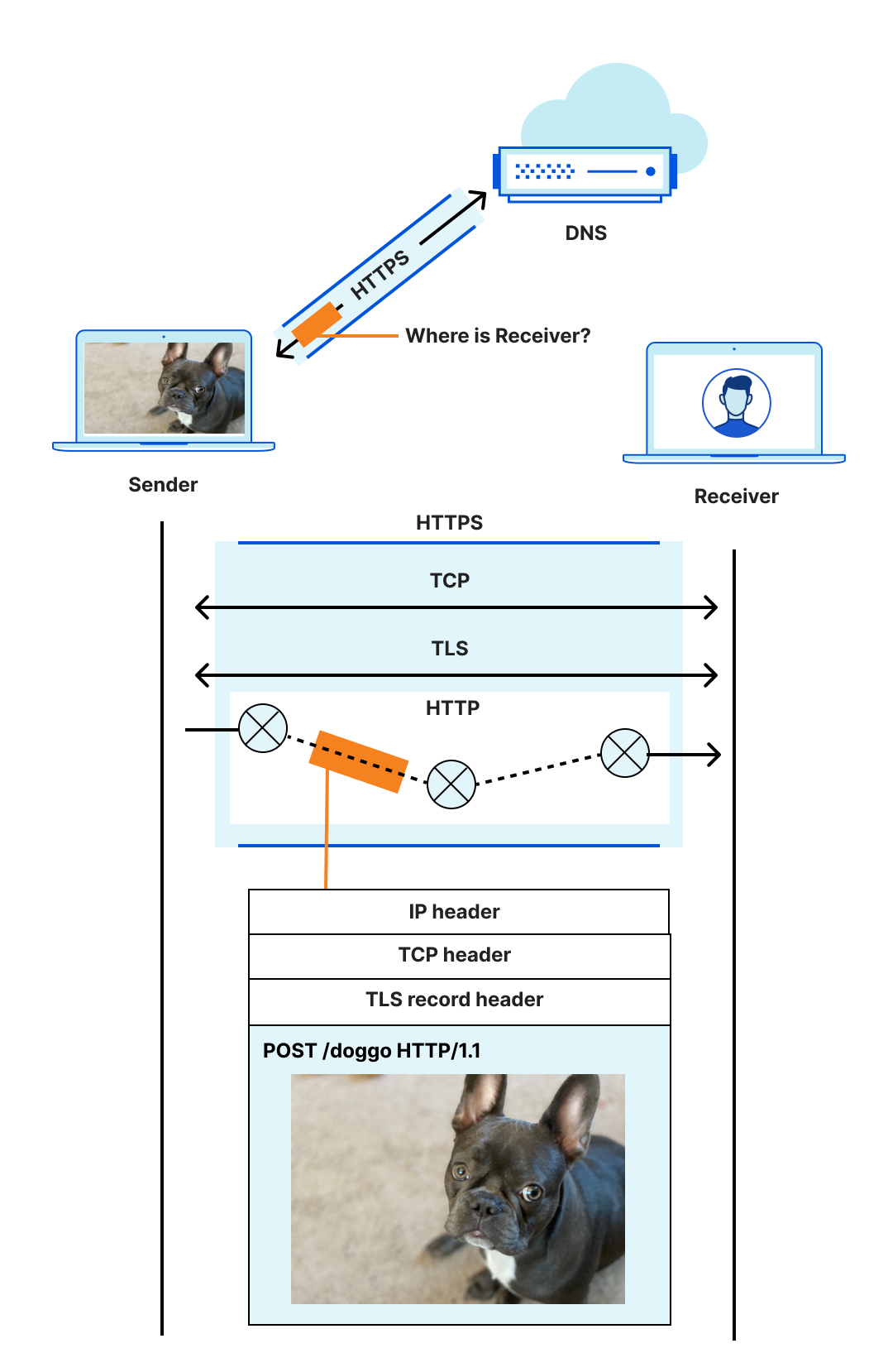 Many steps of sending dog pictures on the Internet