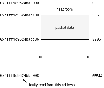 Faulty read from an address beyond the packet data