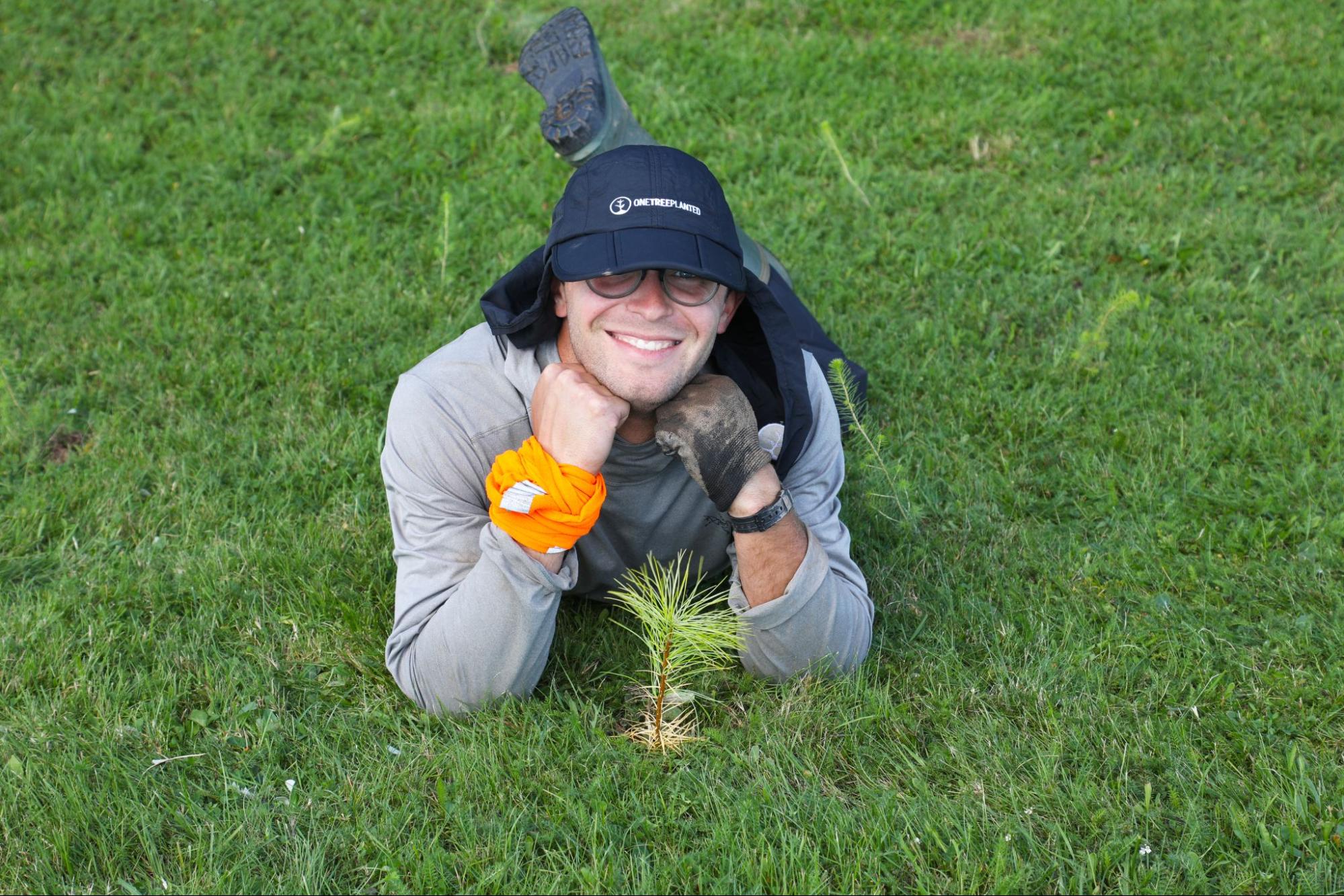 One of the 25,000 newly planted trees in Nova Scotia.