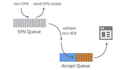 full-syn-1