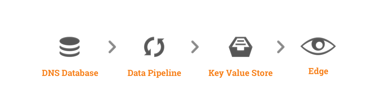 DNS Data Flow