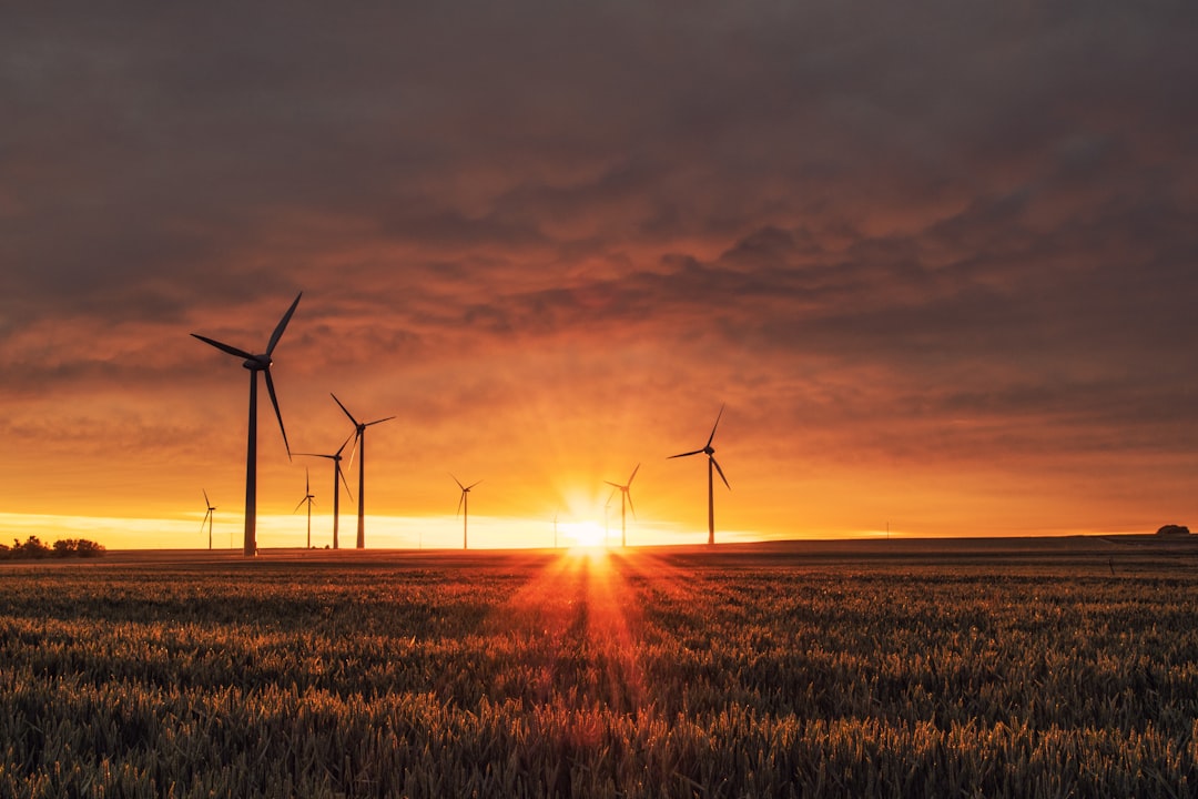 Wind turbines on a corn field under orange clouds during sunset