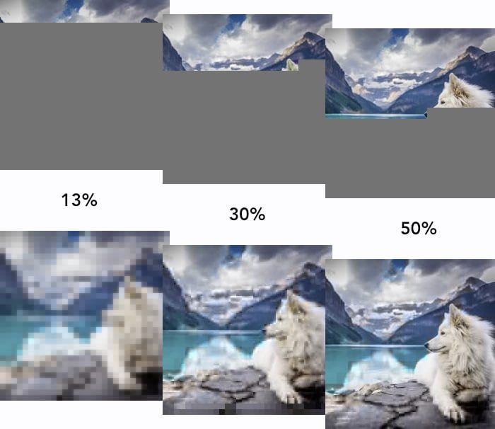 At the top, a normal JPEG loading from top-to-bottom at three points (13% complete, 30% complete and 50% complete).
At the bottom, a progressive JPEG loading with incrementally more detail at the same three points (13% complete, 30% complete and 50% complete).