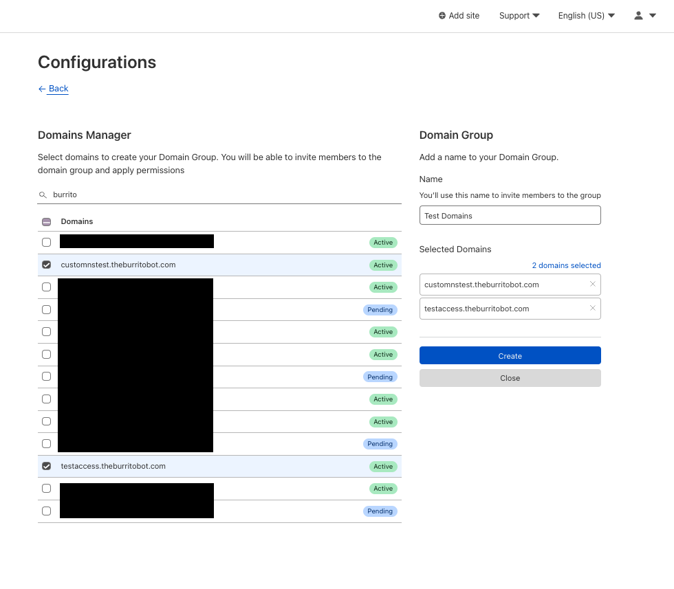 Domain Group creation screen showing two domains selected.